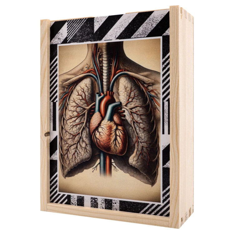 Puzzle drewniane anatomia człowieka - wym. 289x206 mm - PZD006