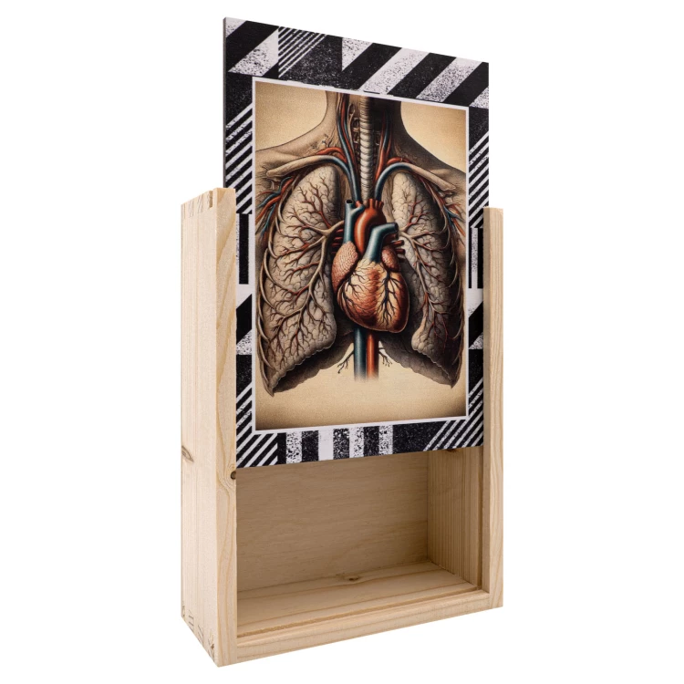Puzzle drewniane anatomia człowieka - wym. 289x206 mm - PZD006