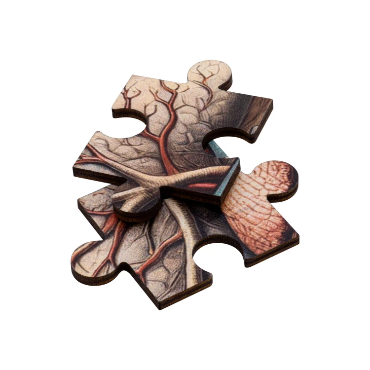Puzzle drewniane anatomia człowieka - wym. 289x206 mm - PZD007