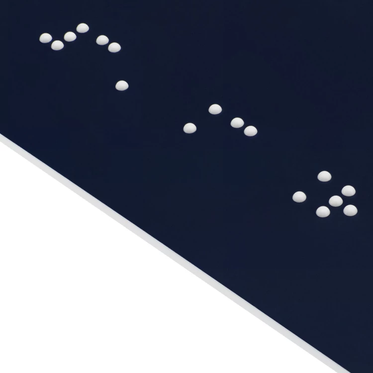 Granatowa tabliczka na drzwi z pismem Braille'a dla niewidomych - wym. 300x150mm - TAB700