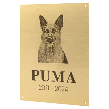 Mosiężna tabliczka pamiątkowa z grawerem - mosiądz szczotkowany i lakierowany - wym. 150x200 mm - TAB681