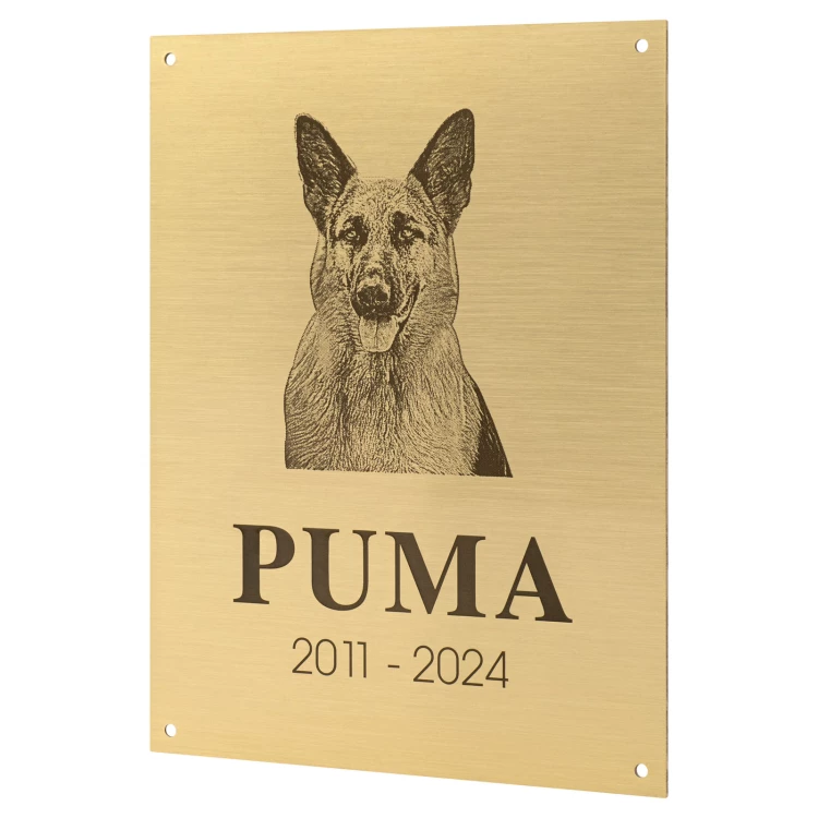 Mosiężna tabliczka pamiątkowa z grawerem - mosiądz szczotkowany i lakierowany - wym. 150x200 mm - TAB681