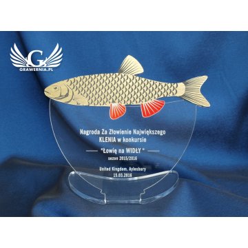 ZŁOTY KLEŃ - trofeum na zawody wędkarskie - model DTA23