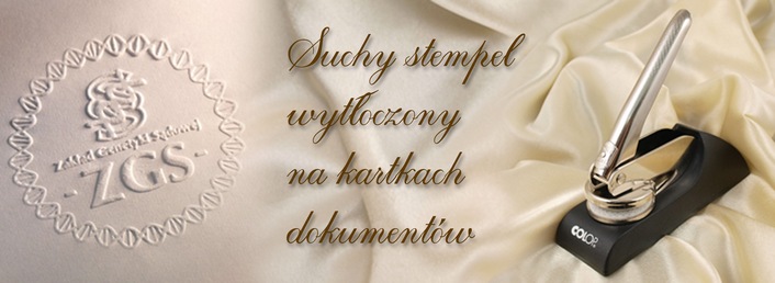 Suche stemple